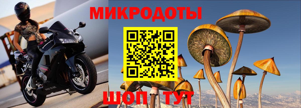 Псилоцибиновые грибы Psilocybe  Псилоцибиновые грибы GOLDEN TEACHER  Иваново  Вход с VPN 